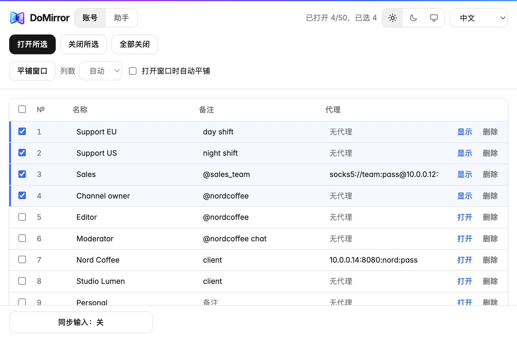 DoMirror 的配置文件列表，带有名称、备注和代理设置